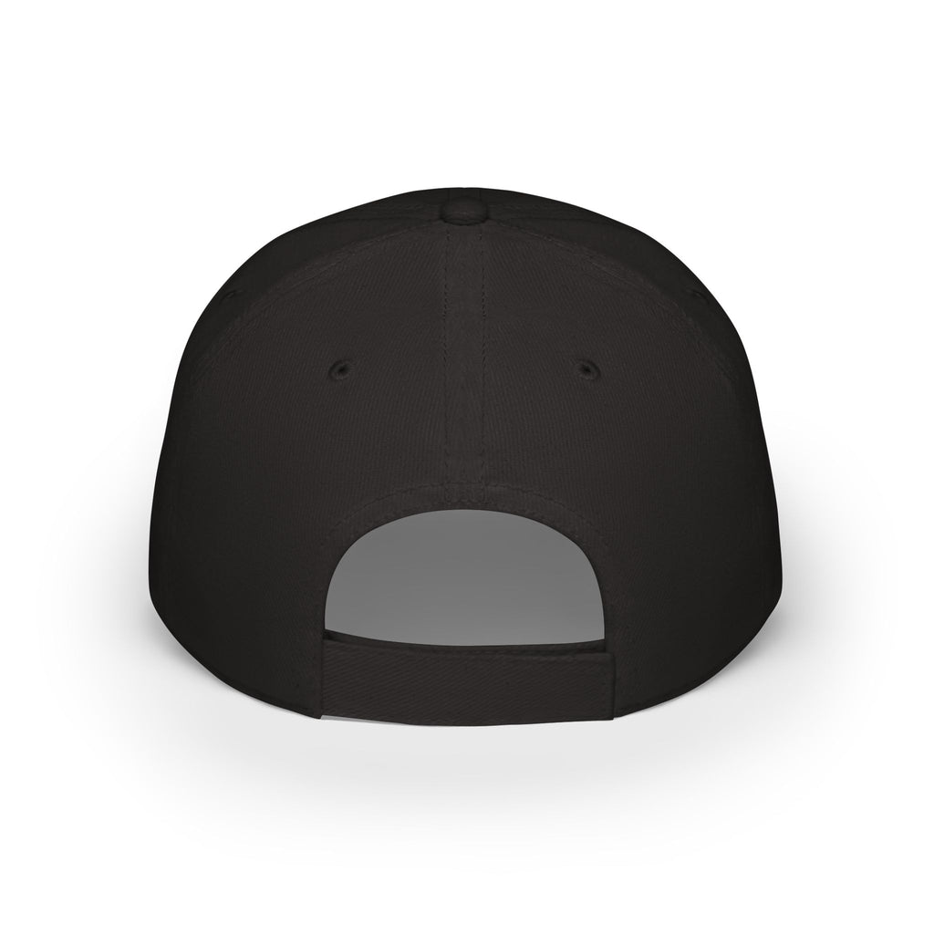 Paint Doctor Low Profile Baseball Cap