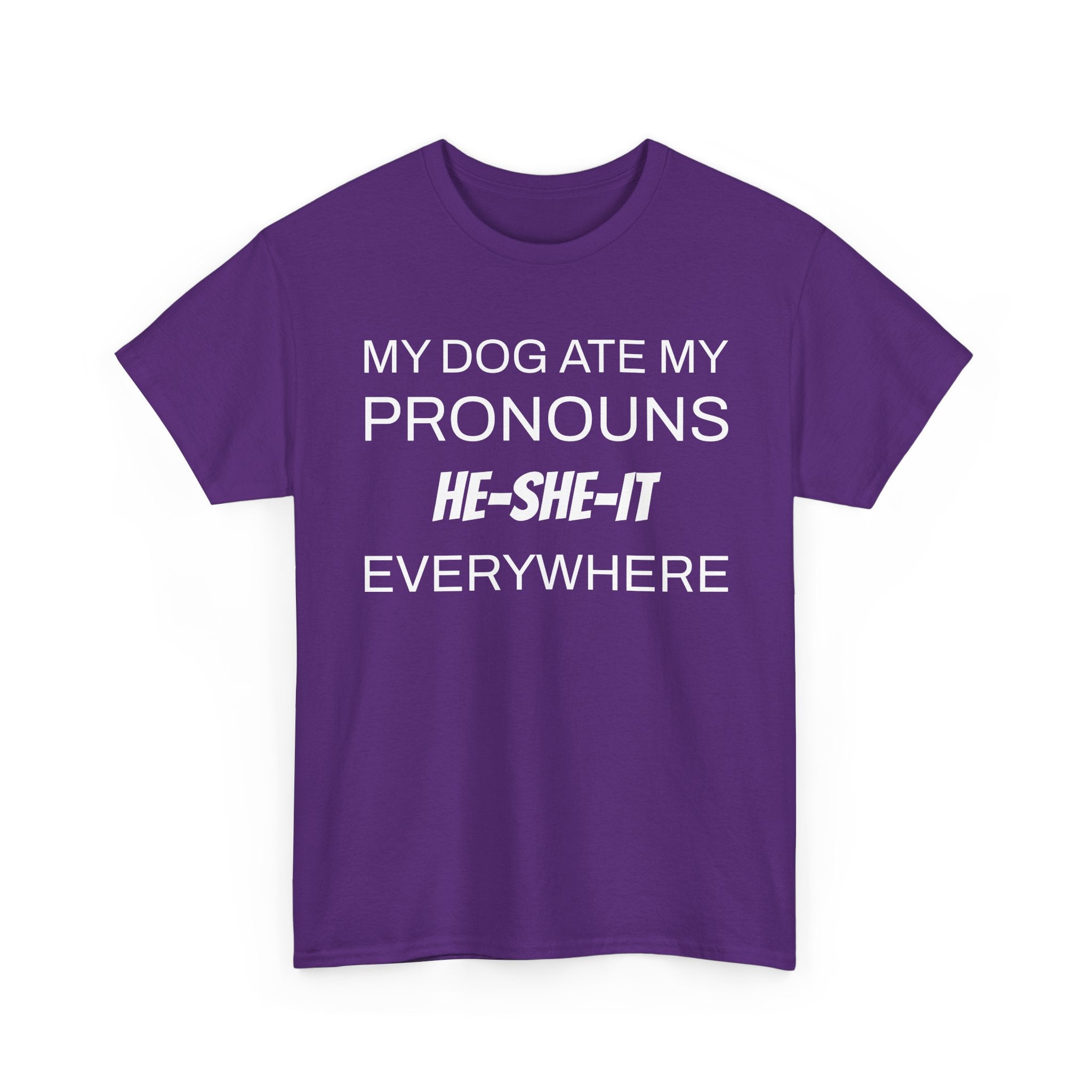 Funny Pronouns T-Shirt, Trendy LGBTQ+ Pride Tee, Casual Wear, Everyday Statement Top