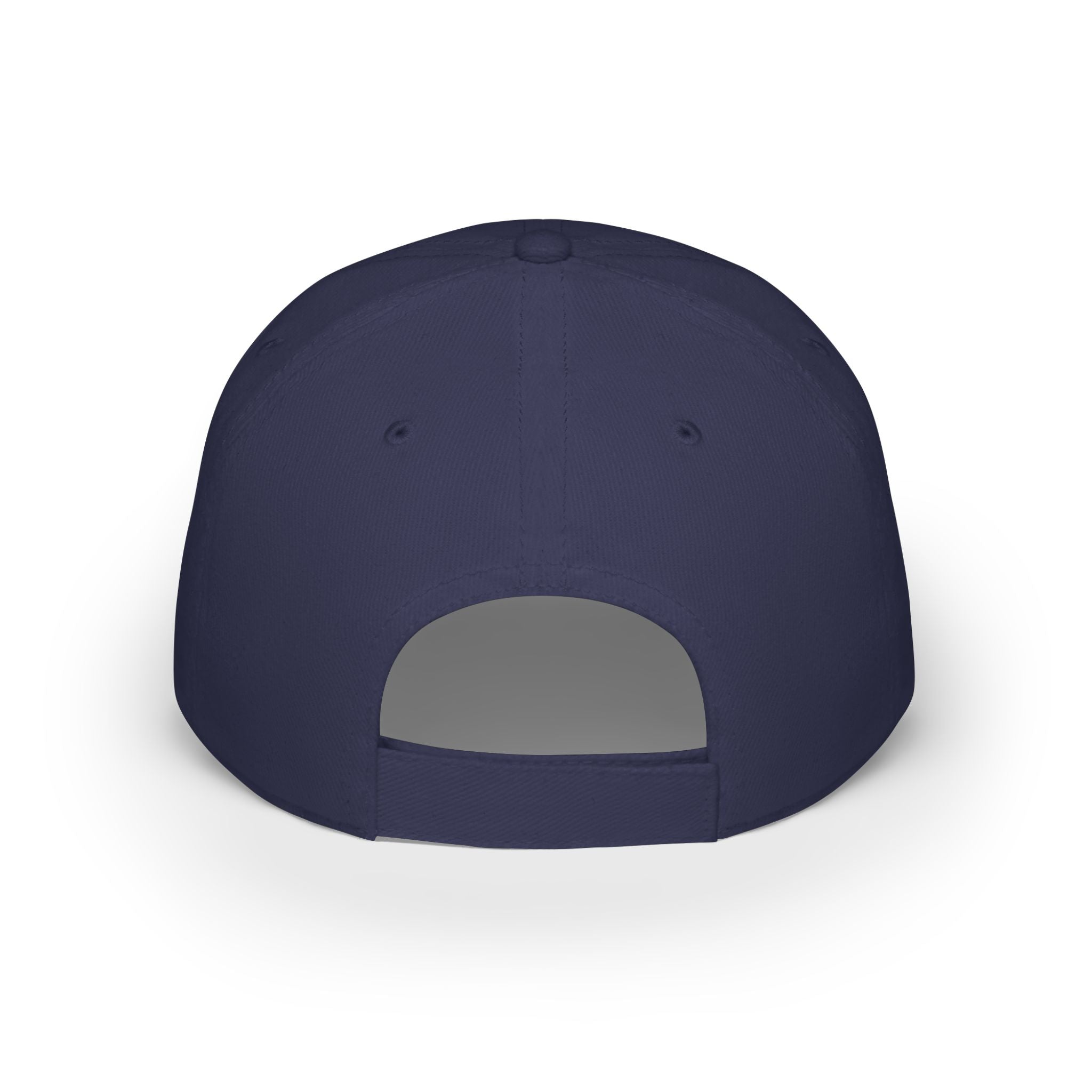 Paint Doctor Low Profile Baseball Cap
