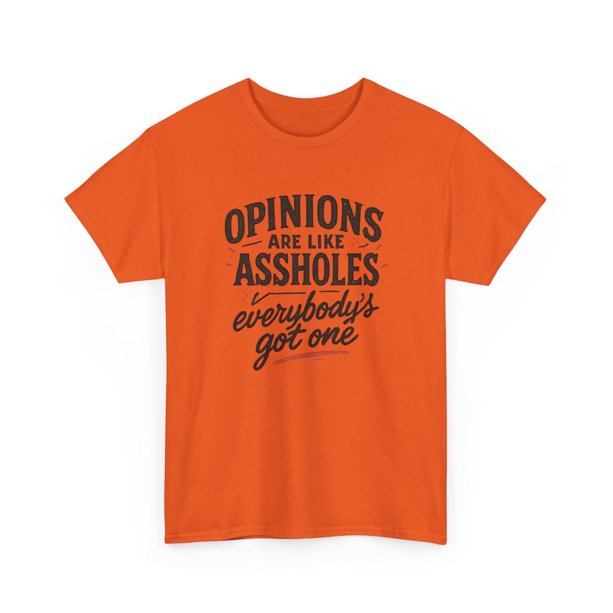 Opinions are like ...holes