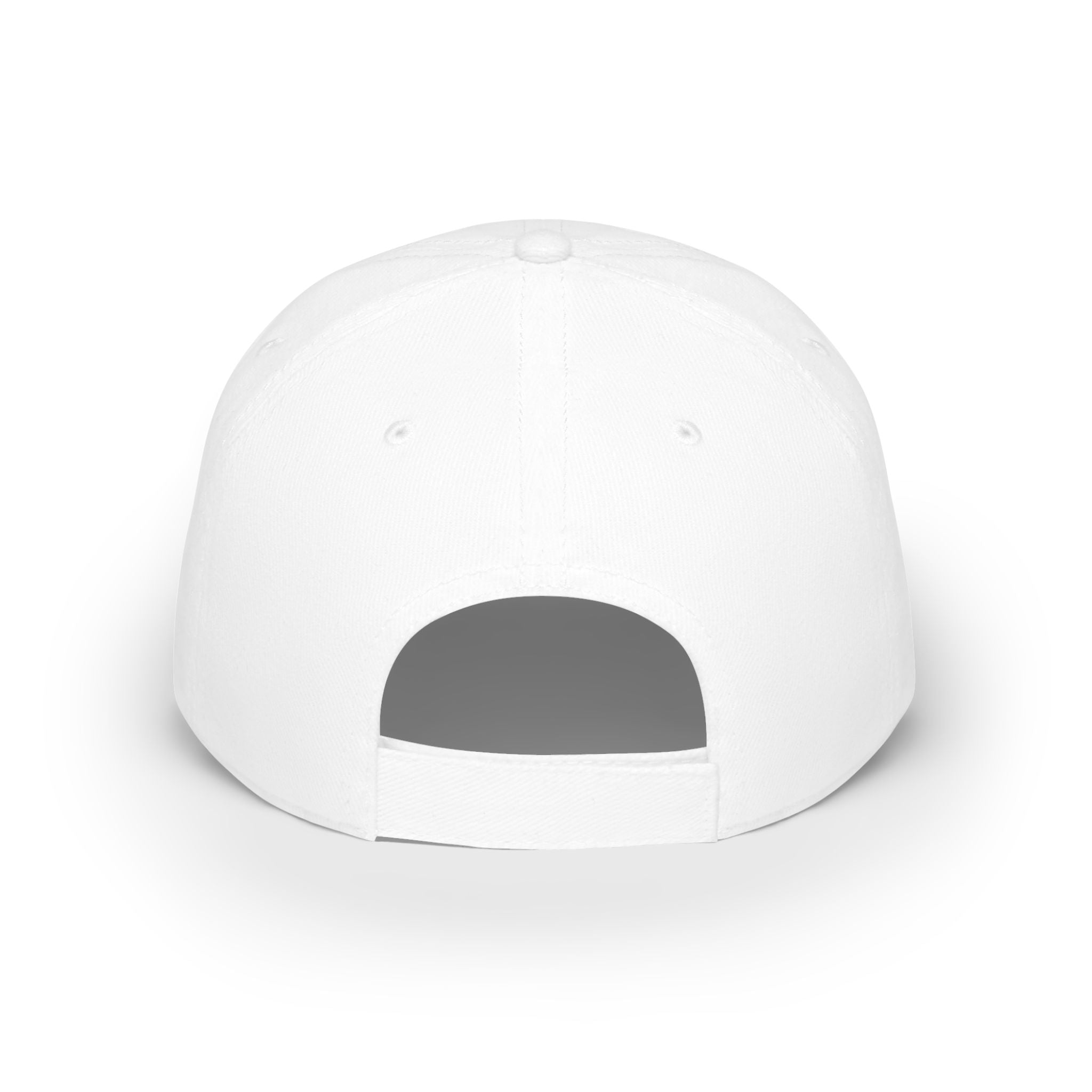 Paint Doctor Low Profile Baseball Cap