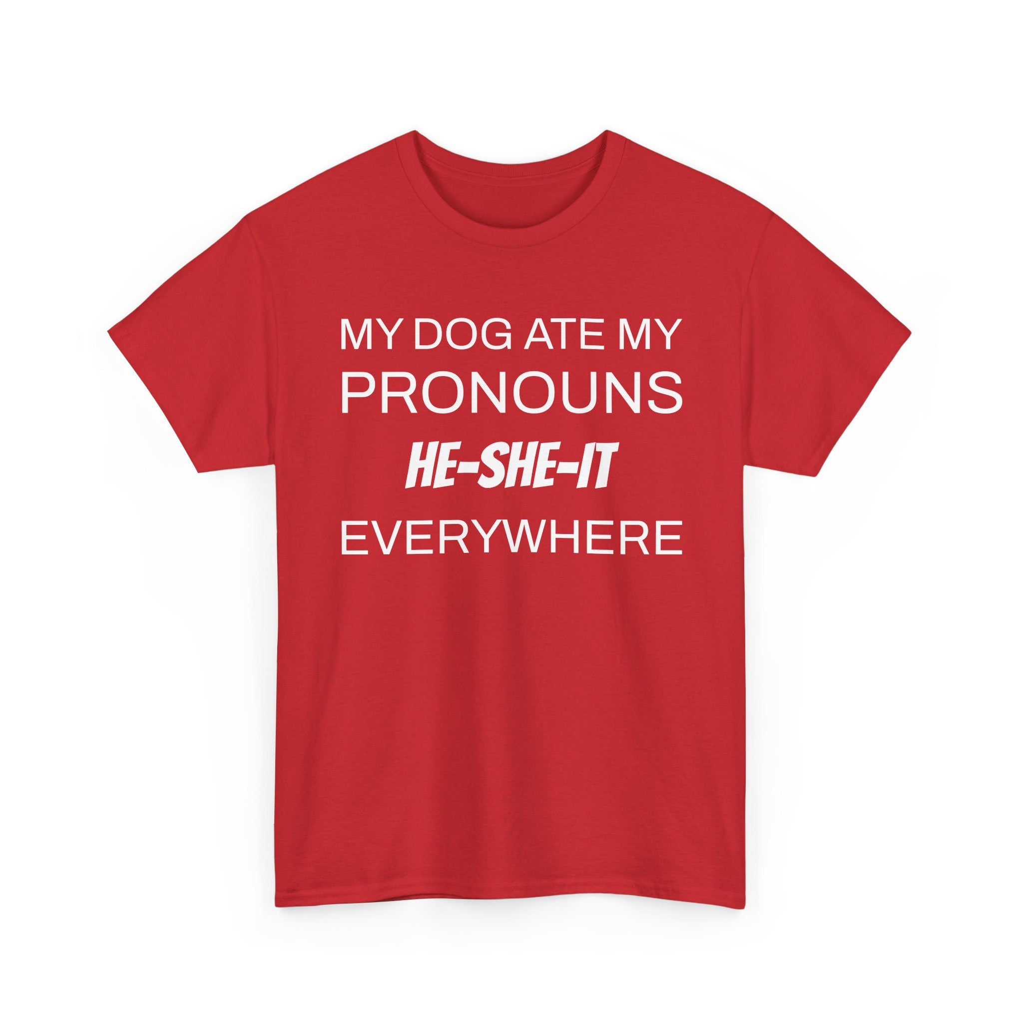 Funny Pronouns T-Shirt, Trendy LGBTQ+ Pride Tee, Casual Wear, Everyday Statement Top