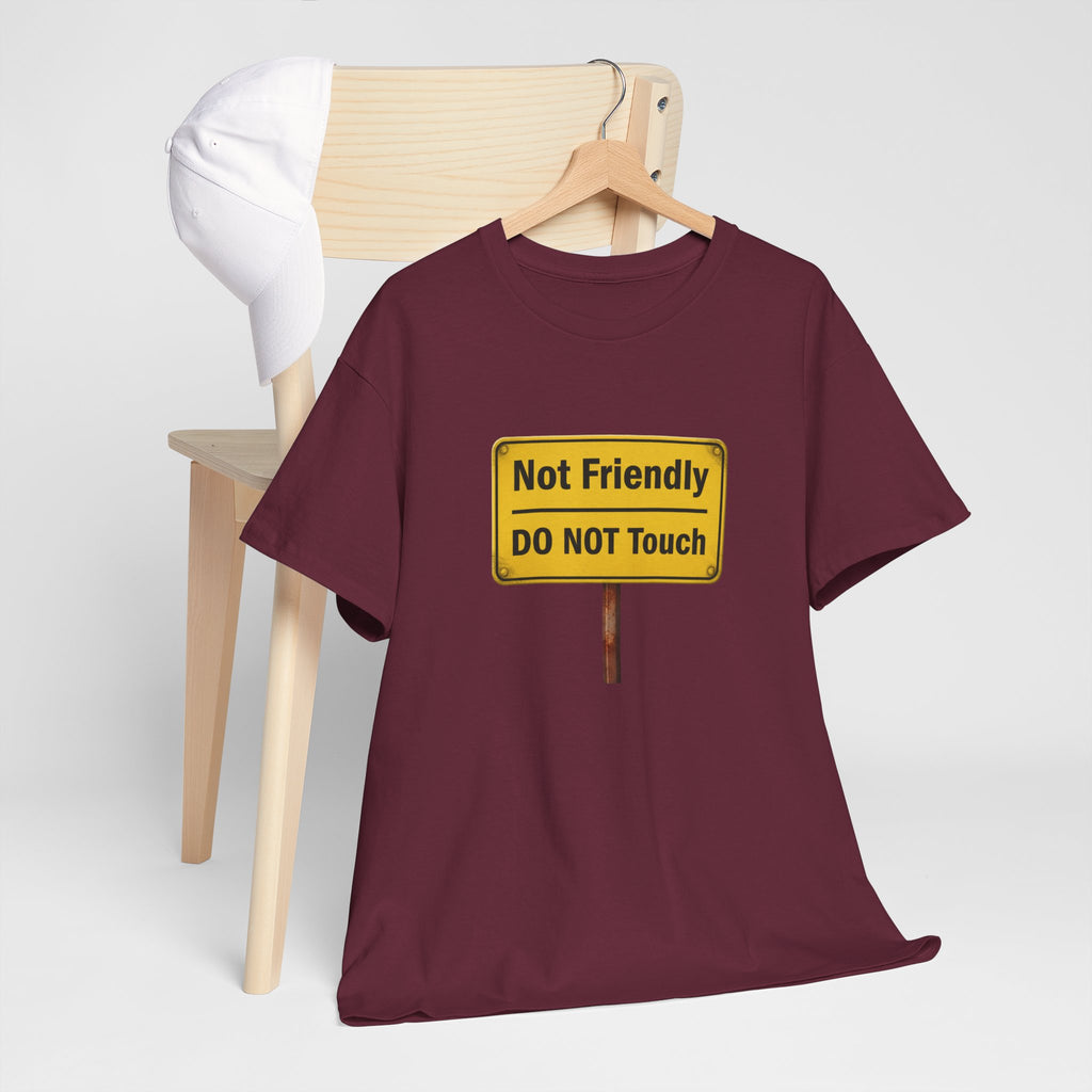 Not Friendly - Heavy Cotton Tee