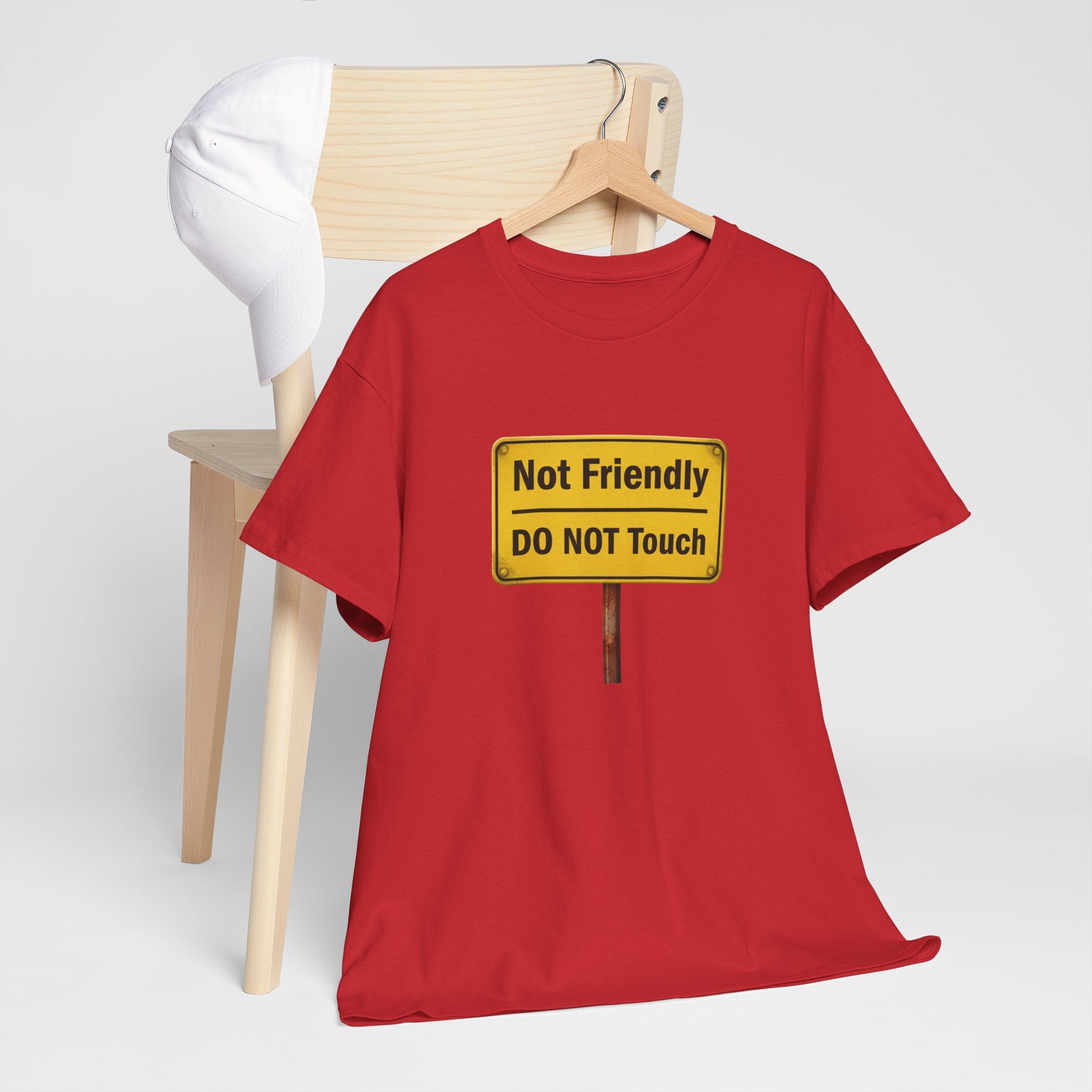 Not Friendly - Heavy Cotton Tee
