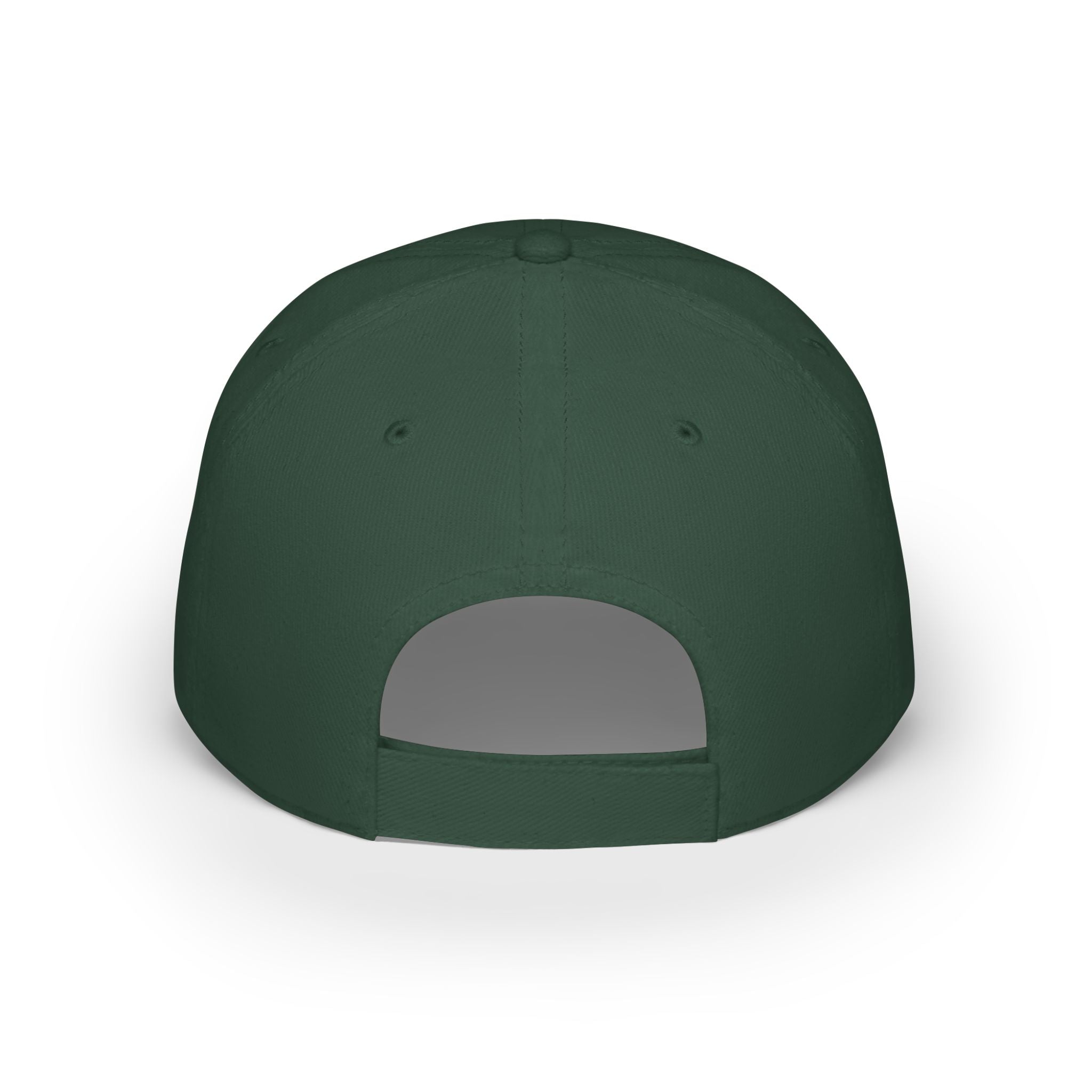 Paint Doctor Low Profile Baseball Cap