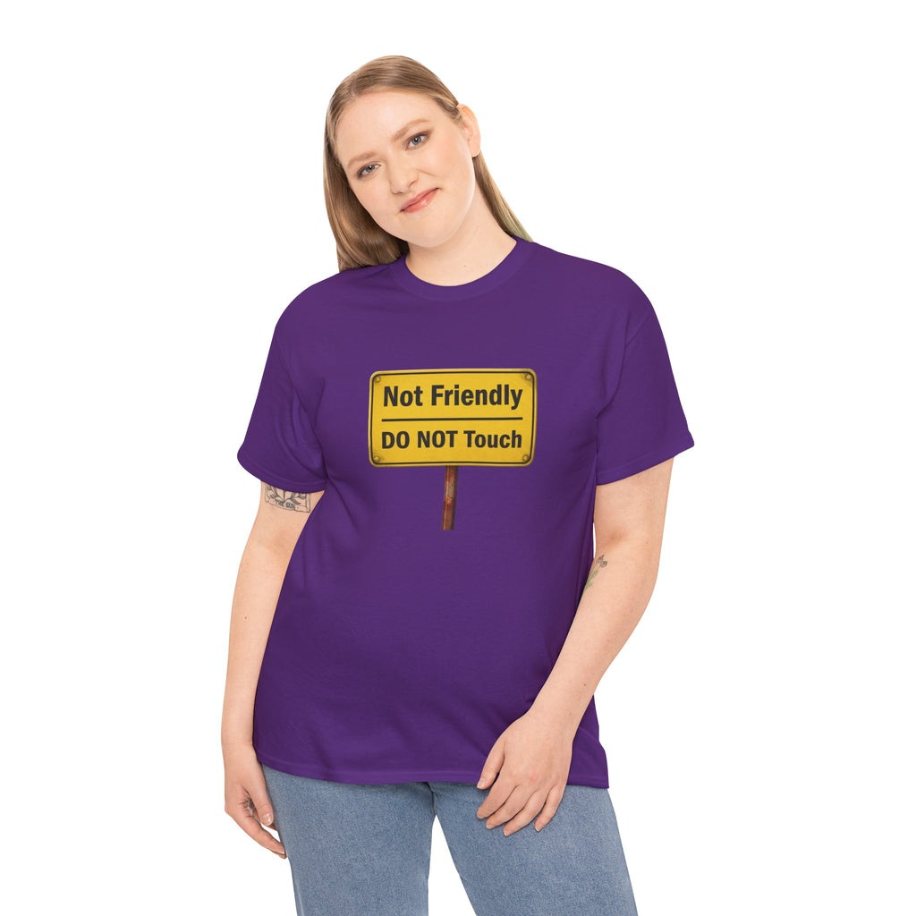Not Friendly - Heavy Cotton Tee