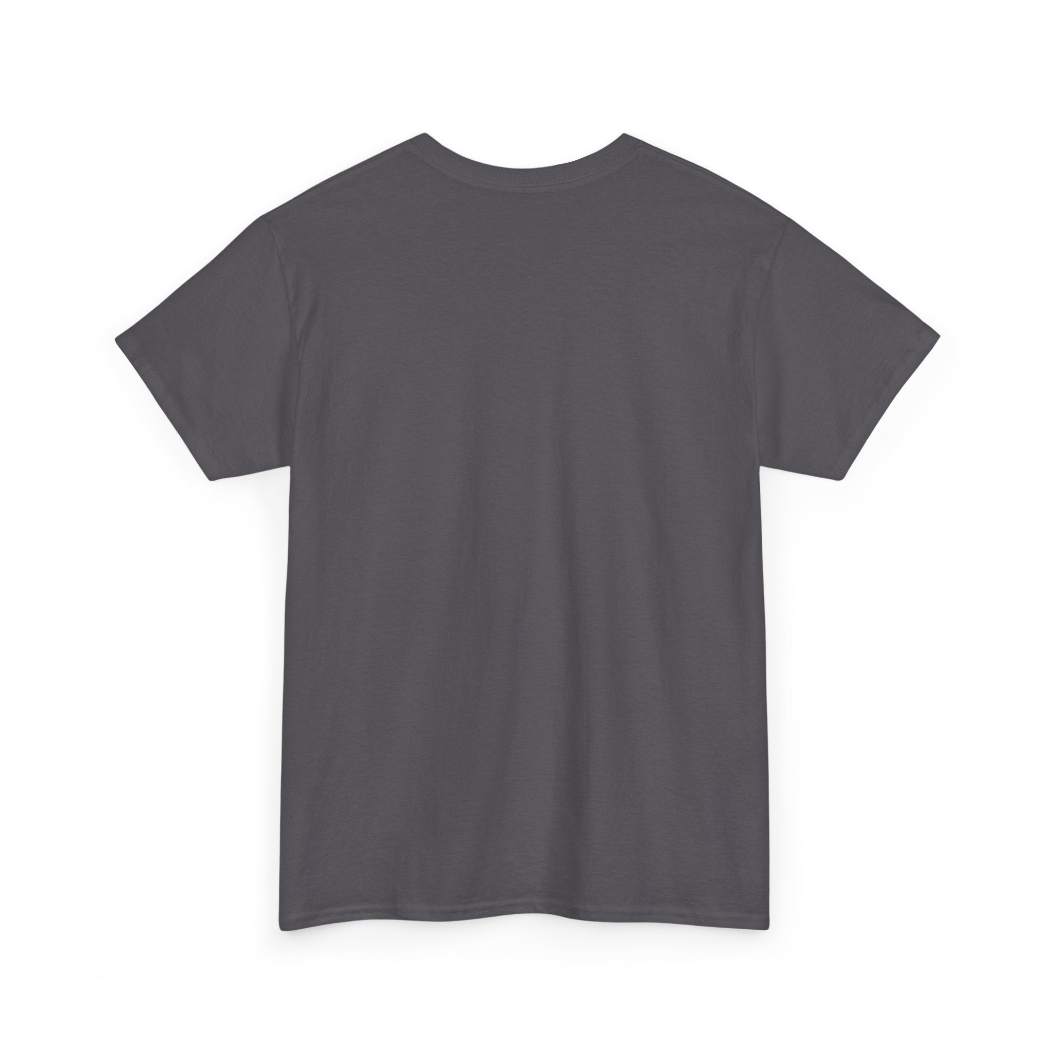 Humorous Statement Tee, Unisex Cotton Shirt, Casual Wear, Gift for Friends