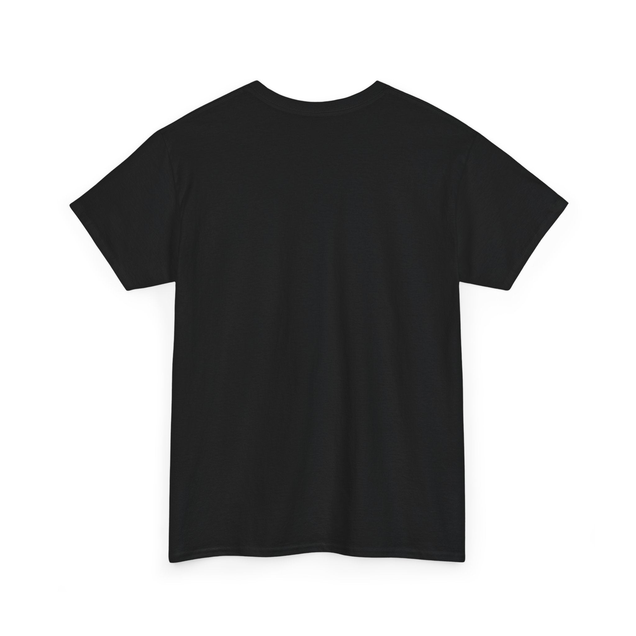 Funny Pronouns T-Shirt, Trendy LGBTQ+ Pride Tee, Casual Wear, Everyday Statement Top
