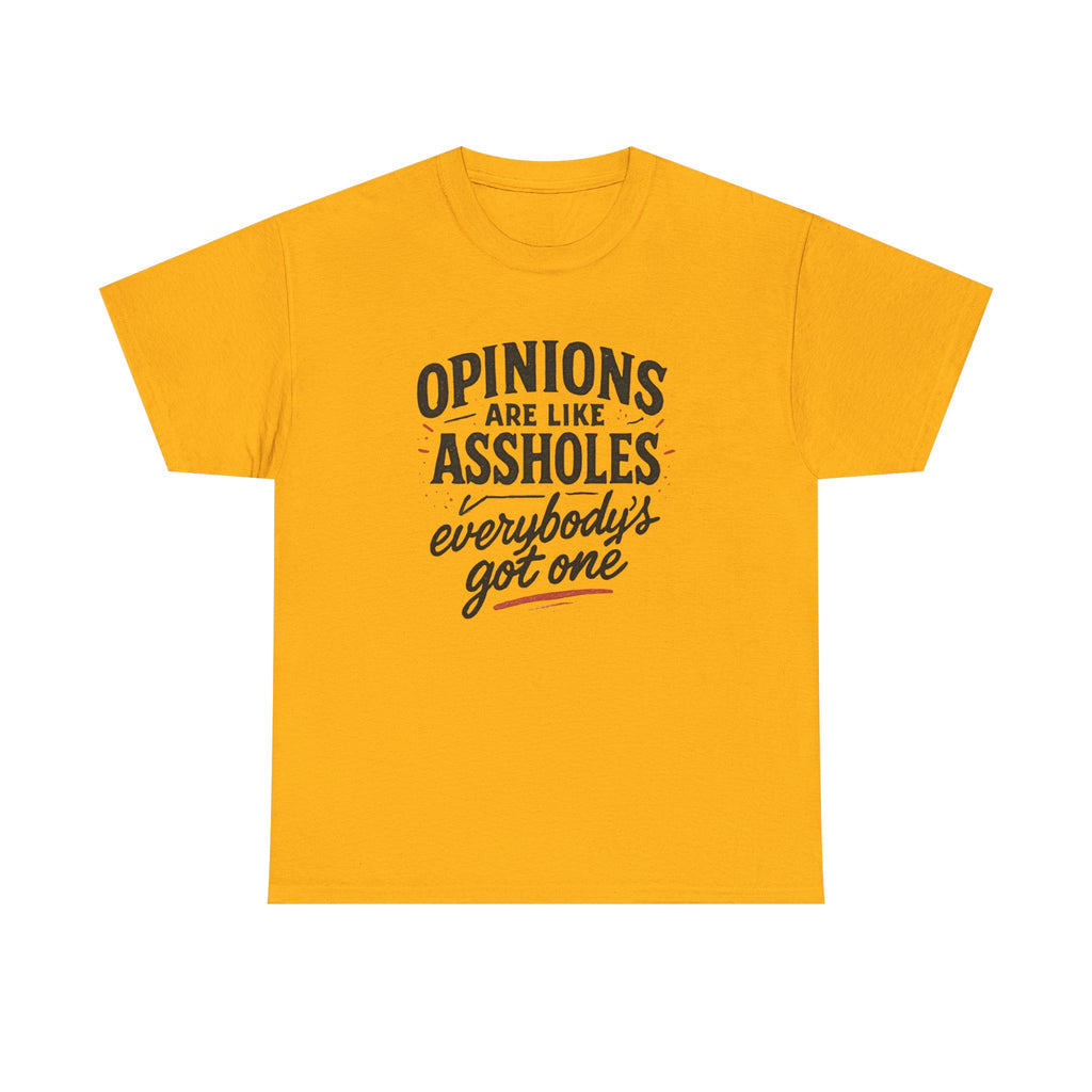 Opinions are like ...holes