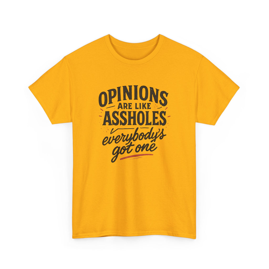 Opinions are like ...holes