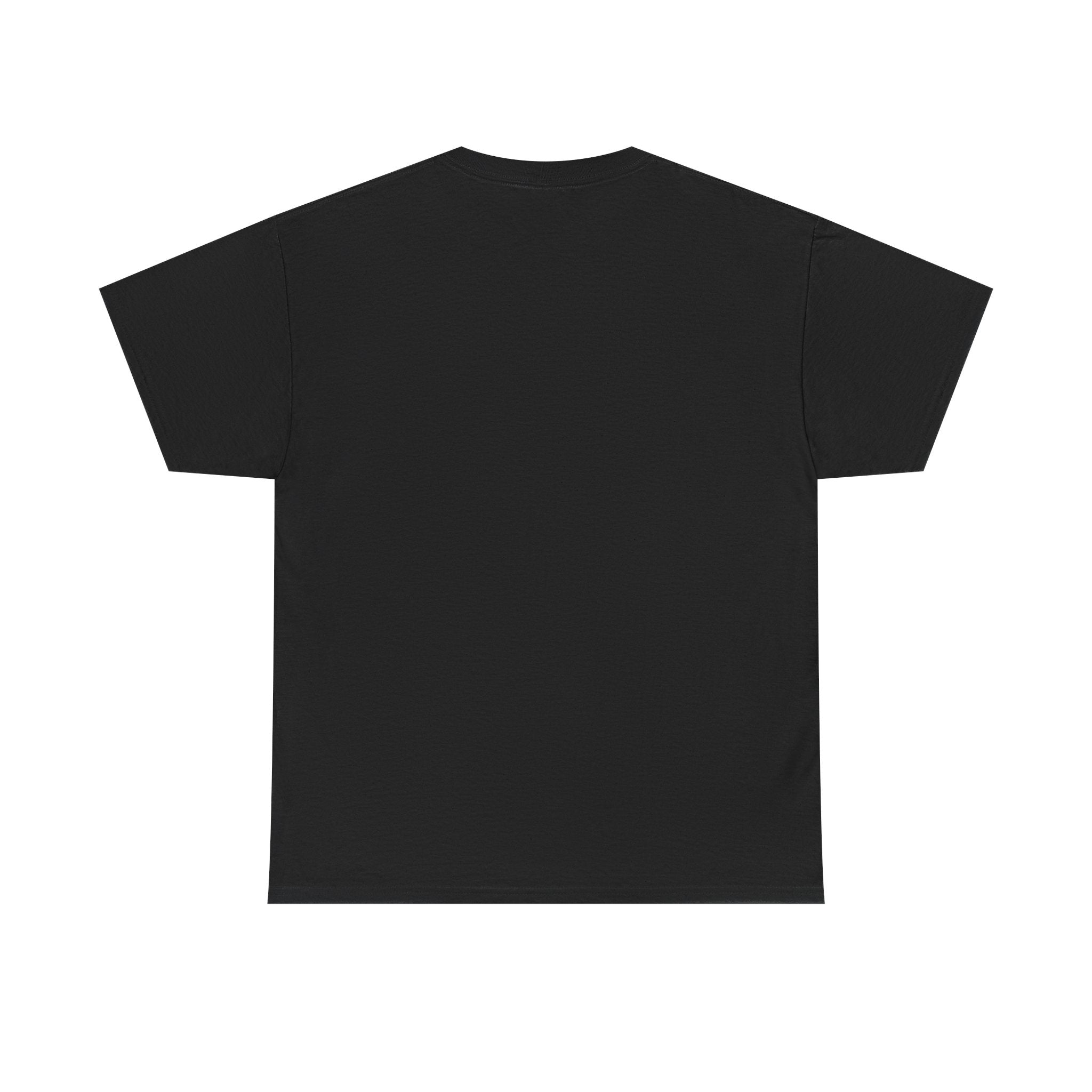 Funny Pronouns T-Shirt, Trendy LGBTQ+ Pride Tee, Casual Wear, Everyday Statement Top