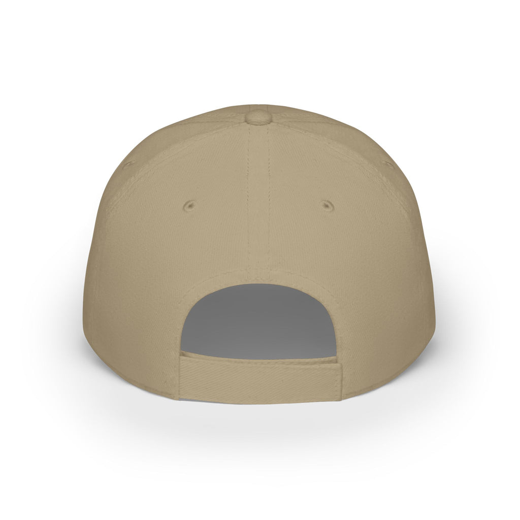 Paint Doctor Low Profile Baseball Cap