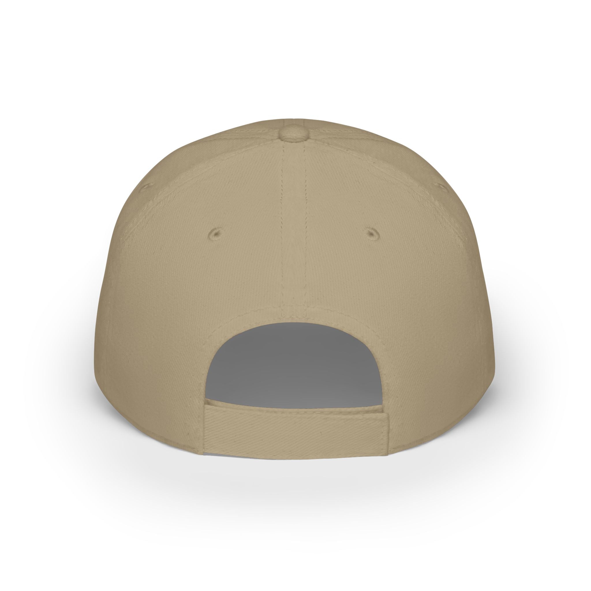 Paint Doctor Low Profile Baseball Cap